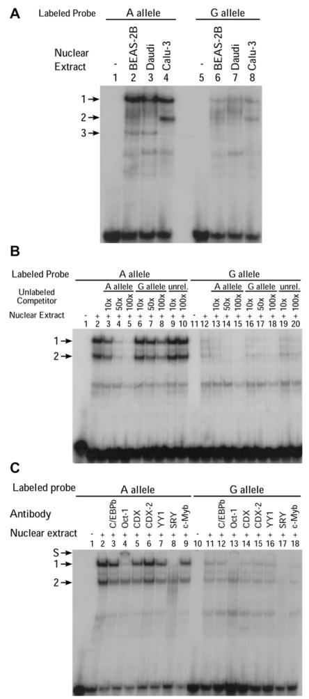 FIG 2