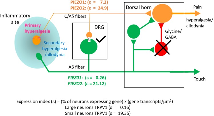 FIGURE 10