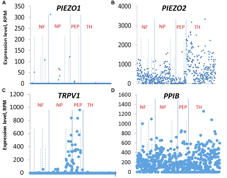 FIGURE 11