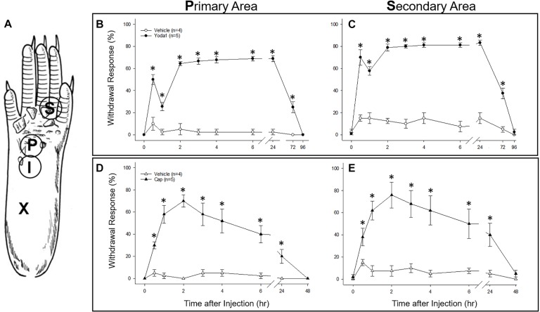 FIGURE 9