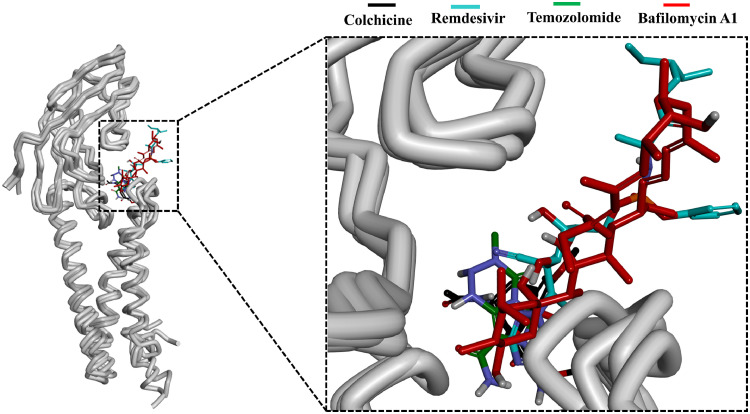 Fig. 4