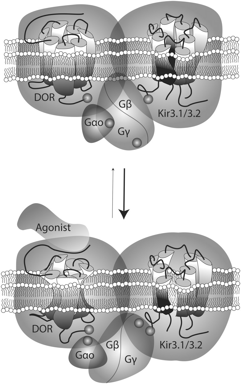 Fig. 9.