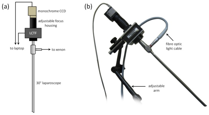 Fig. 1