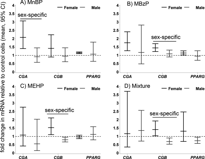 Figures 1A to 1D are four whisker plots with confidence intervals plotting fold change in TBPC mRNA relative to control cells (mean, 95 percent CI) (y-axis) across phthalates CGA, CGB, and PPARG (x-axis) for metabolites MnBP, MBzP, MEHP, and their mixture.