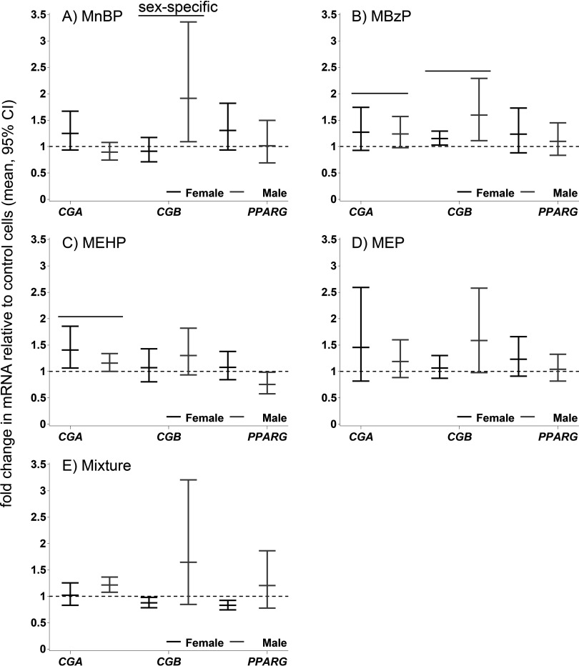 Figures 2A to 2E are five whisker plots with confidence intervals plotting fold change in vCTB mRNA relative to control cells (mean, 95 percent CI) (y-axis) across phthalates CGA, CGB, and PPARG (x-axis) for metabolites MnBP, MBzP, MEHP, MEP, and their mixture.