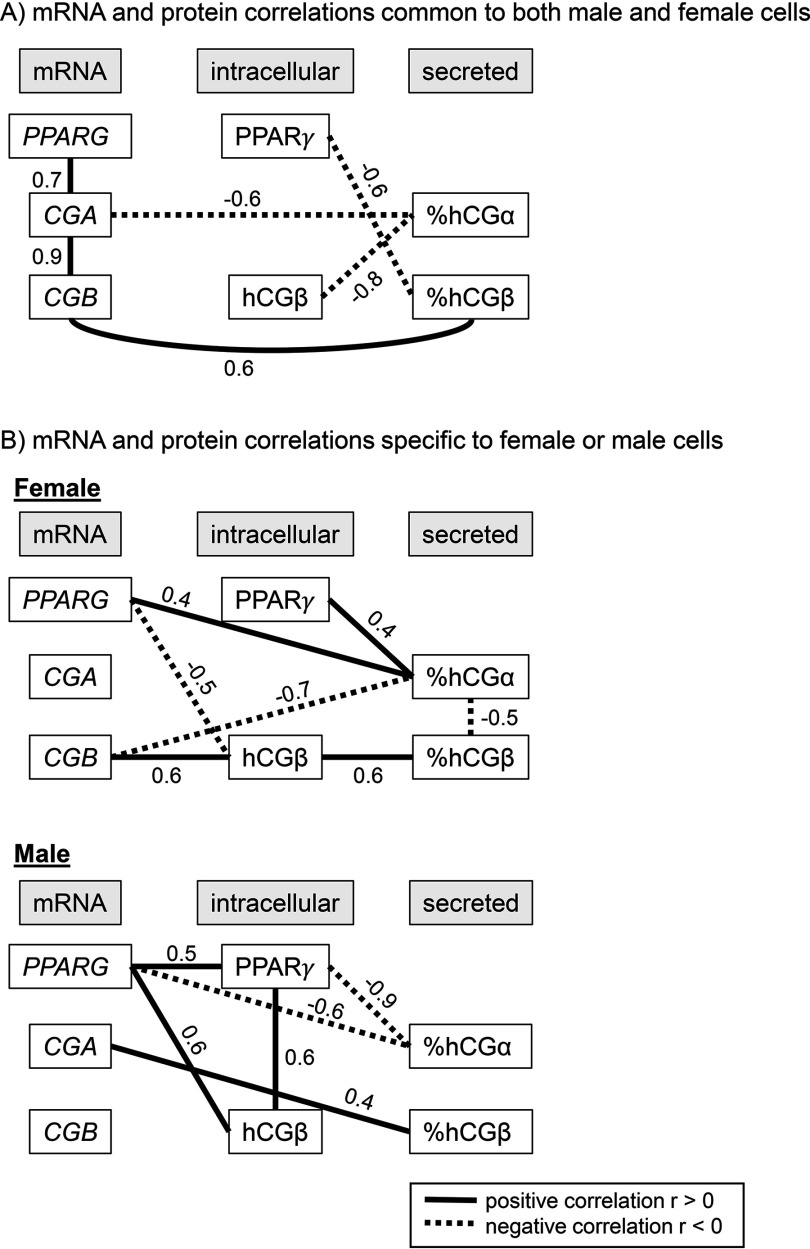 Figures 5A to 5C are flowcharts showing Spearman rank correlations.