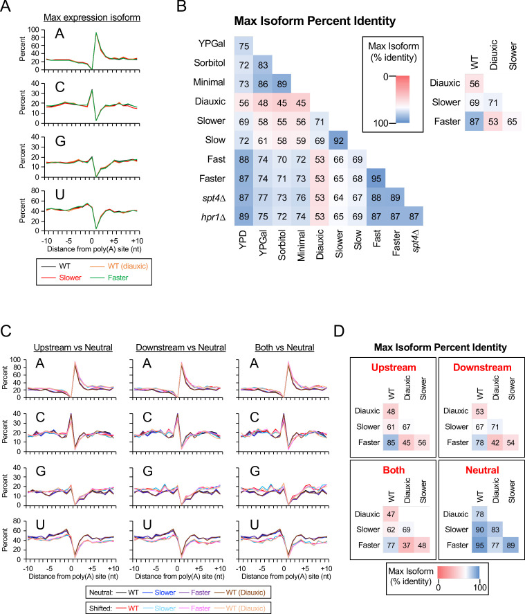 Figure 5—figure supplement 1.