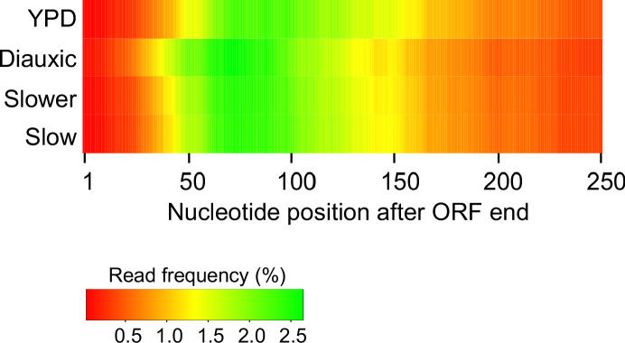 Figure 2—figure supplement 1.