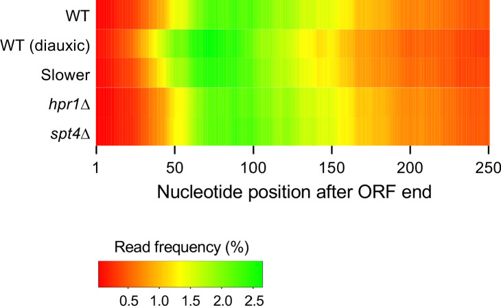 Figure 6—figure supplement 1.