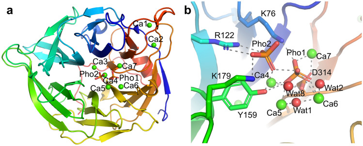 Fig. 3