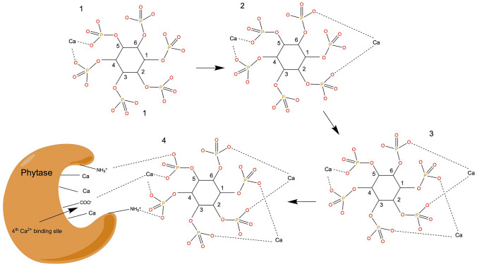 Fig. 2