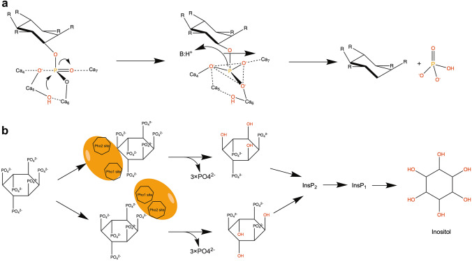 Fig. 4