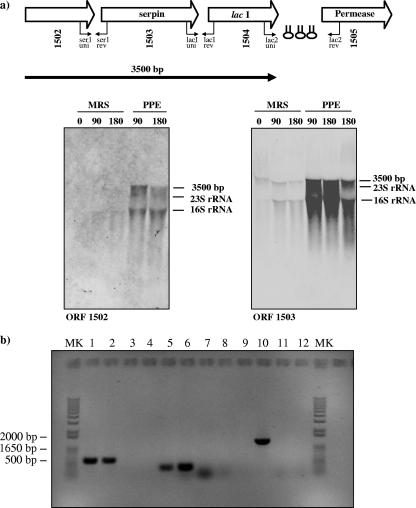 FIG. 7.