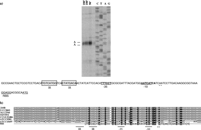 FIG. 8.