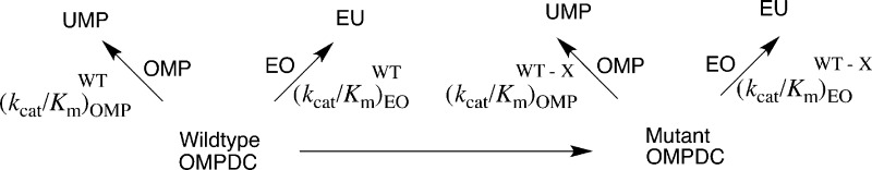 Scheme 3