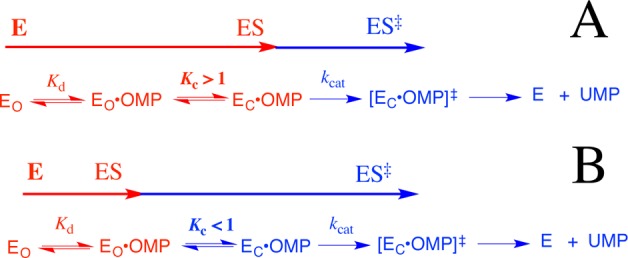 Scheme 7