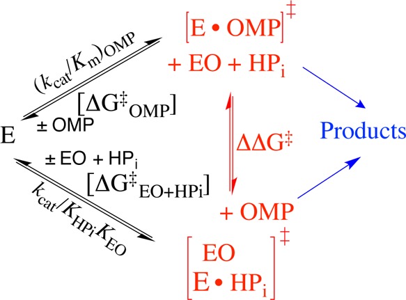 Scheme 6