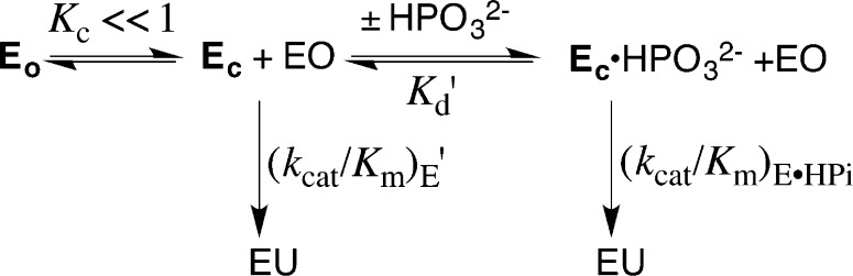 Scheme 5