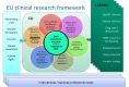 Figure 3 EU clinical research framework