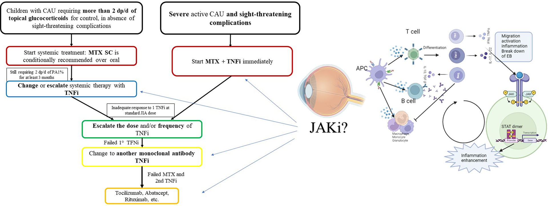 Figure 1: