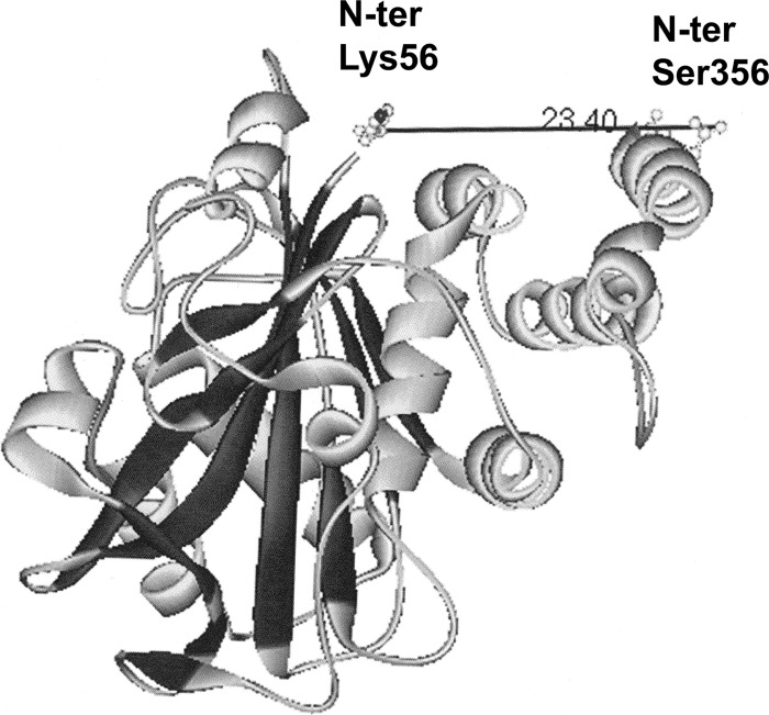 FIGURE 5.