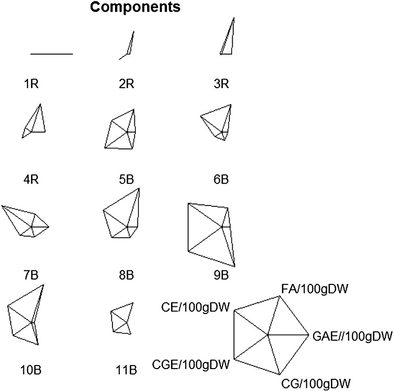 Fig. 1