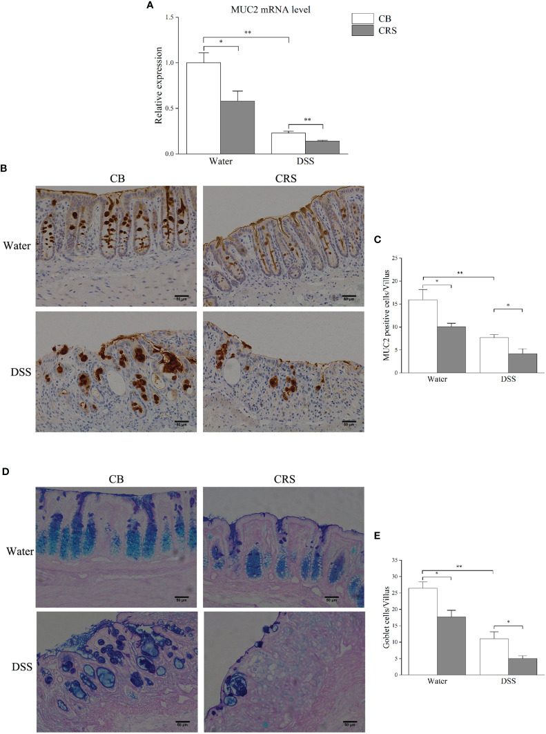 Figure 6