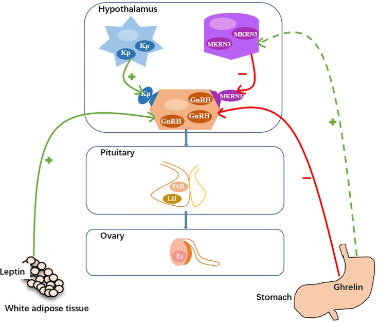 Figure 4