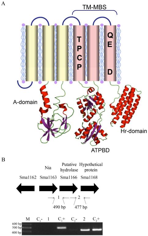 Fig. 1