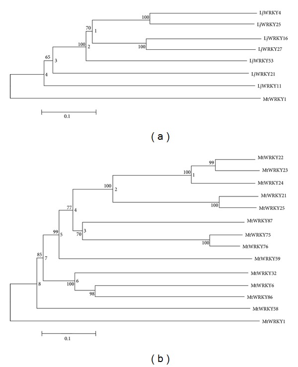 Figure 7