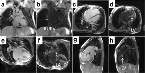 Fig. 5