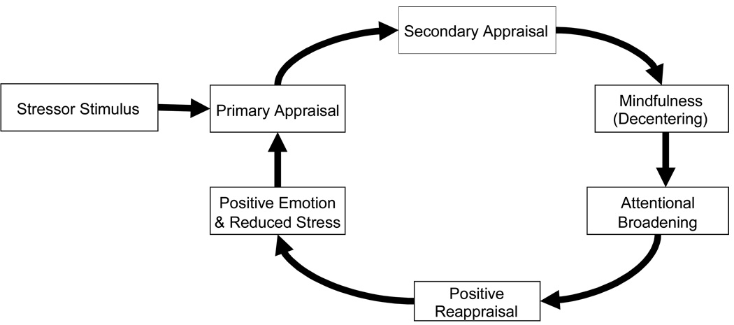 The Role of Mindfulness in Positive Reappraisal - PMC