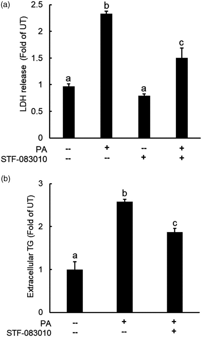 Figure 7.