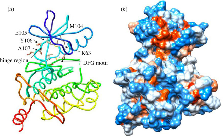 Figure 1.