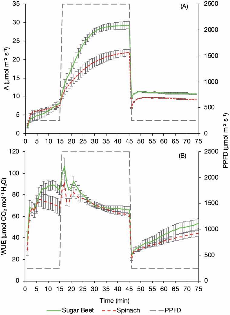 Figure 4.