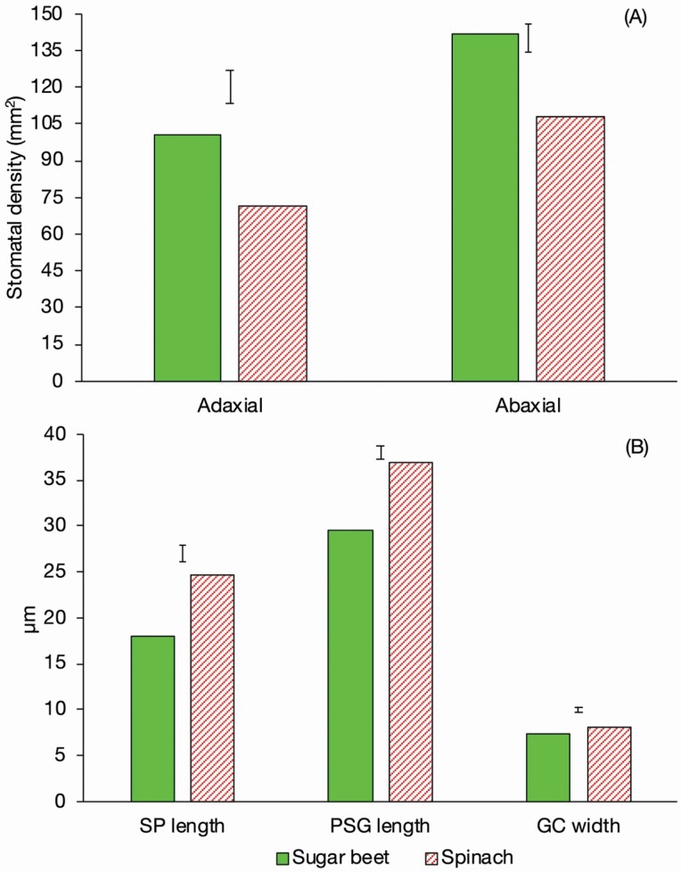 Figure 6.