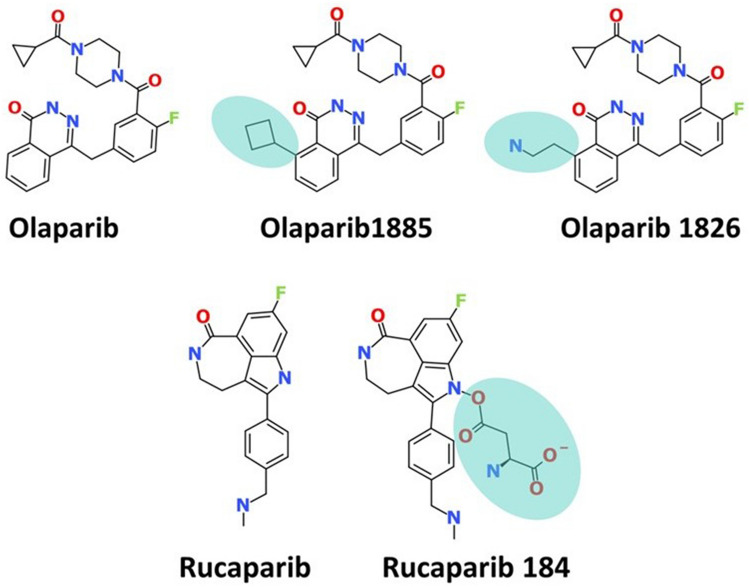 Figure 13