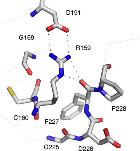 Fig 5