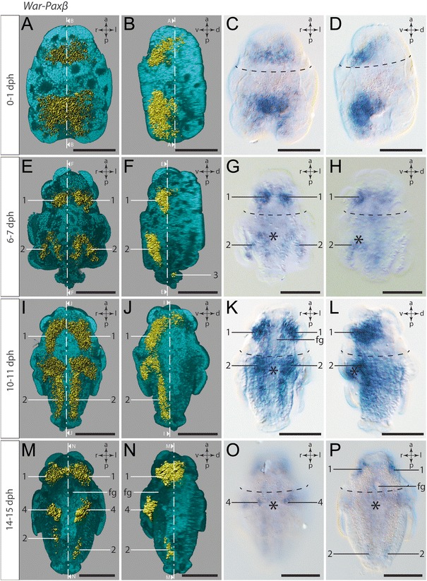 Fig. 9