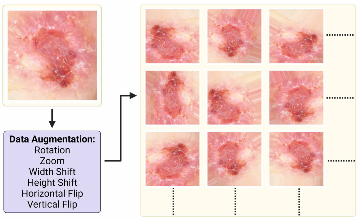 Figure 3