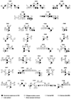 Figure  1