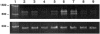 Figure  5