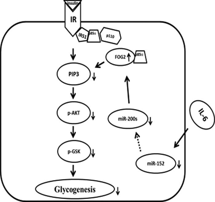 FIGURE 7.