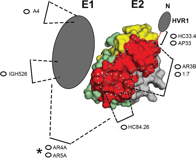 FIG 2