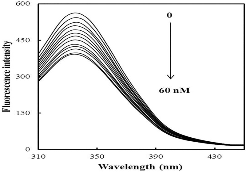 Fig 5