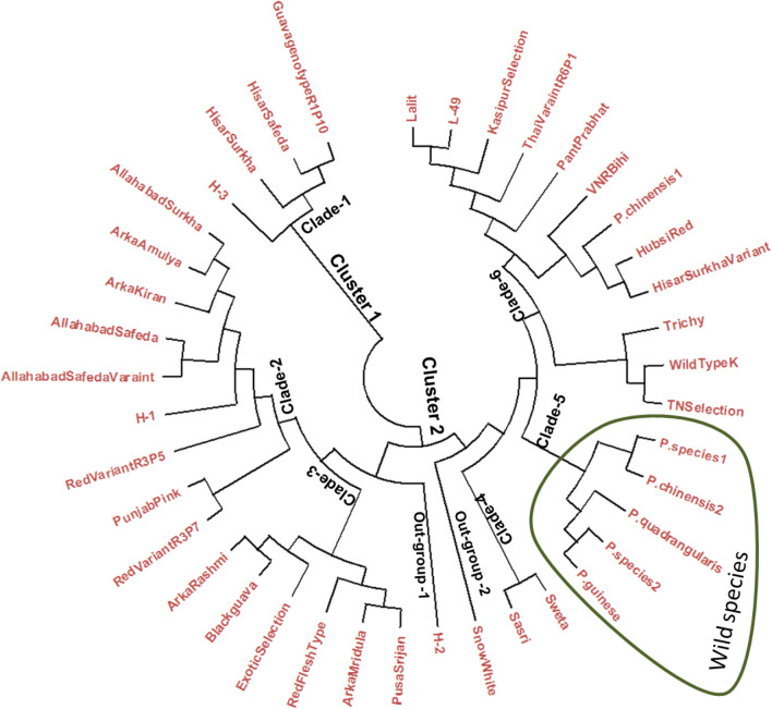 Fig 2