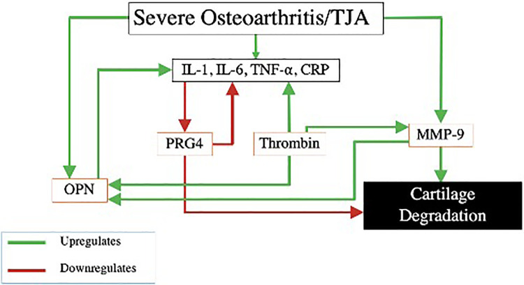 Figure 7.