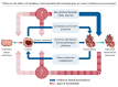 Graphical abstract