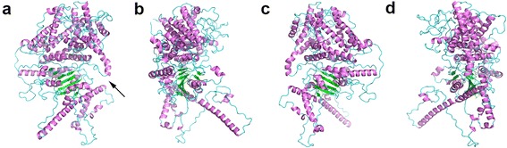 Fig. 8