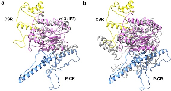 Fig. 10